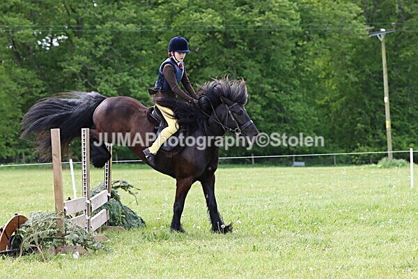IMG_3293 - Working Hunter