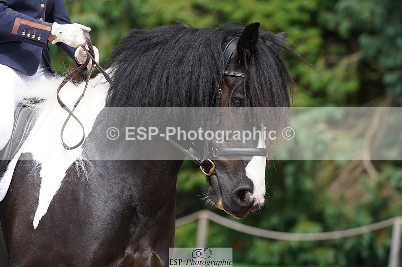 240721-144848-09846 - 320-Louise_Pearce-Wellshead_Duke