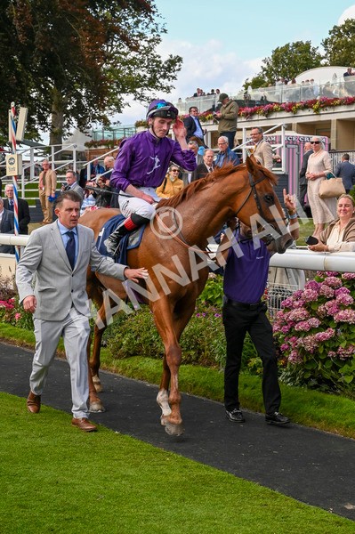 230824-Race 6-Angelo Buonarroti-9447 - Race 6 4.45pm British Stallion Studs EBF Convivial Maiden Stakes