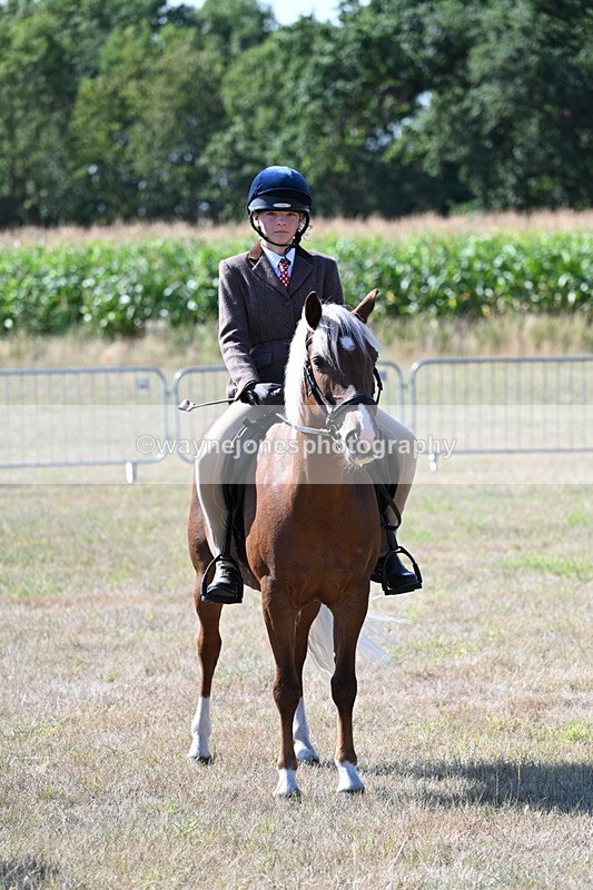 WJ7_3598 - Class 9 Mountain & Moorland Ridden
