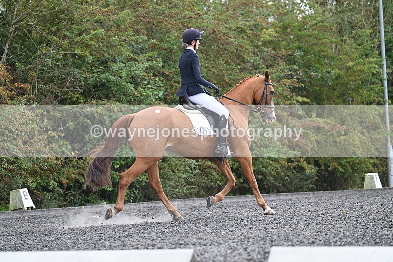 WJ7_6768 - Time 14:49 to 15:14