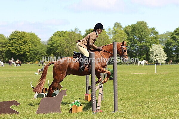 IMG_3773 - Working Hunter