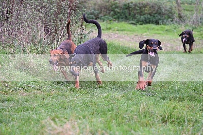 WJ7_8898 - Camera 1 only on this line