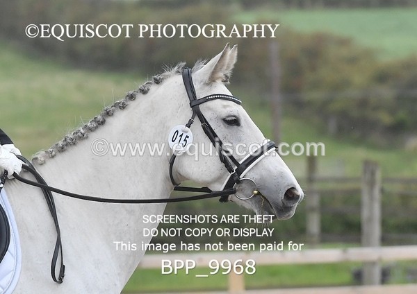 BPP_9968 - PRELIM 4 Q