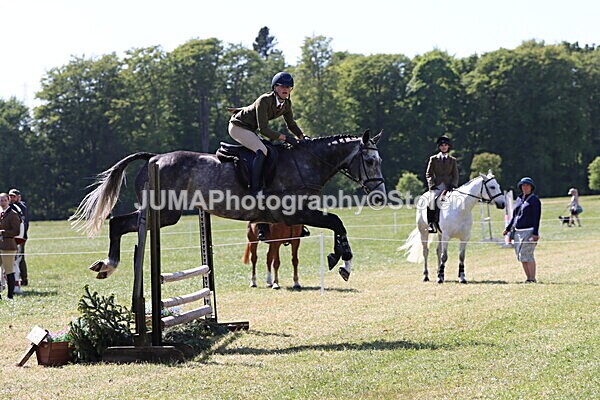 IMG_4603 - Working Hunter