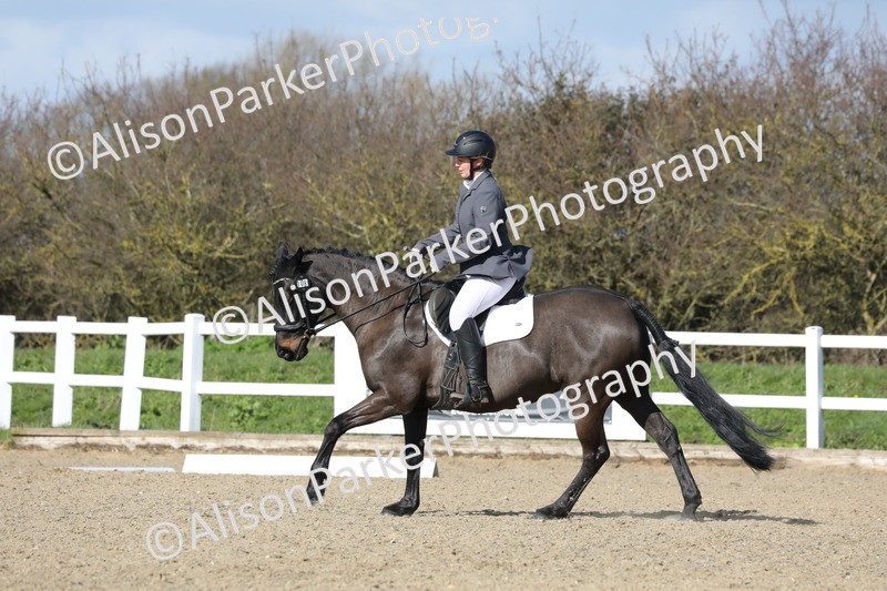 20260314-4872 - CT6 - Elementary 1