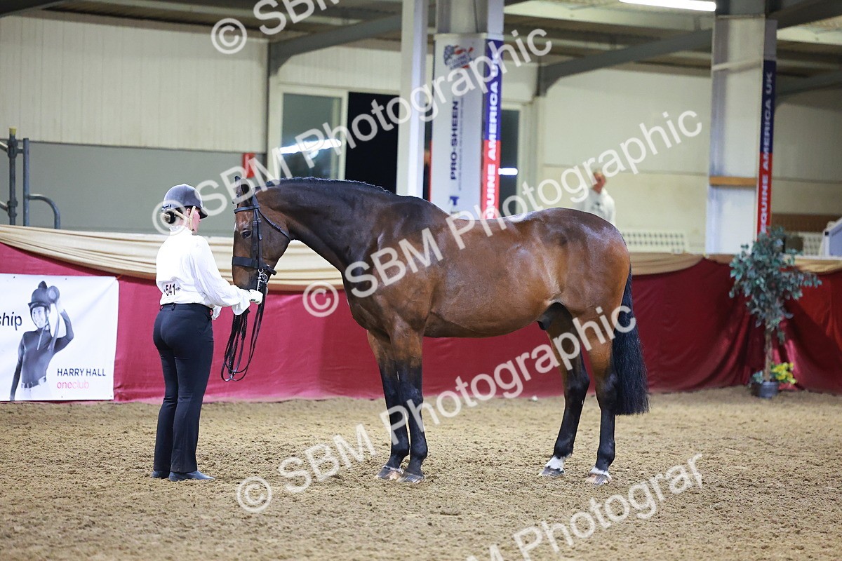 SBM_15540 - Class R - Veteran Champ