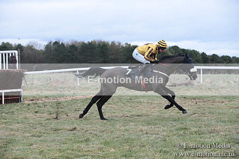 PtP 230119 159 - Royal Artillery Point-to-Point  - Larkhill  - 26/01/19