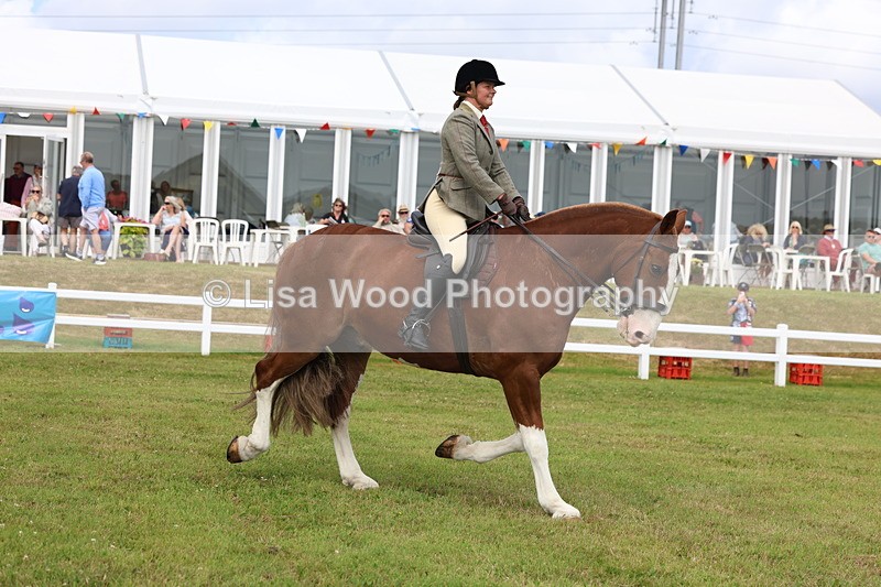 3E7A0289 - Class 6: Rising Star Maxi Cobs