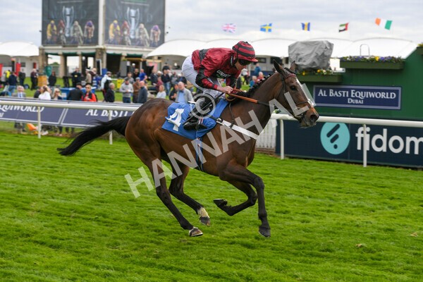 yr12052022r7-23 - Race 7 5.15pm Fidomoney Stakes