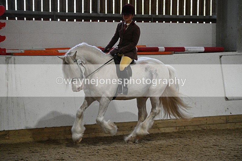 WJ7_4201 - Class 17 Ridden Cob