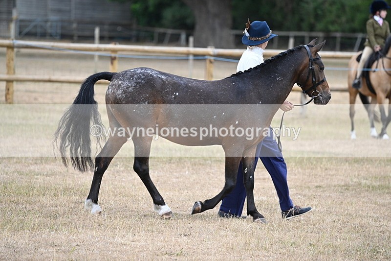 WJ6_7797 - Class 10 Coloured in Hand