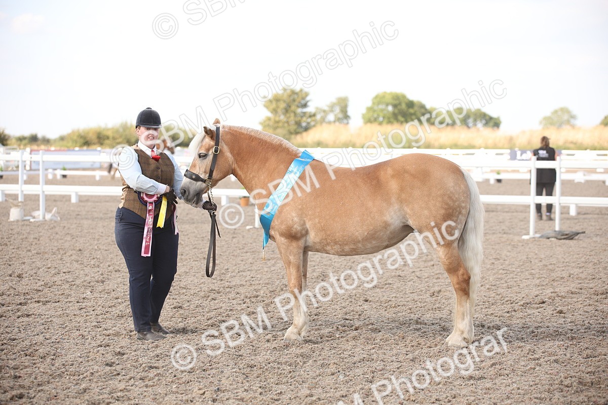 SBM_07152 - Class 25 IH Foreign Breeds- Pure bred