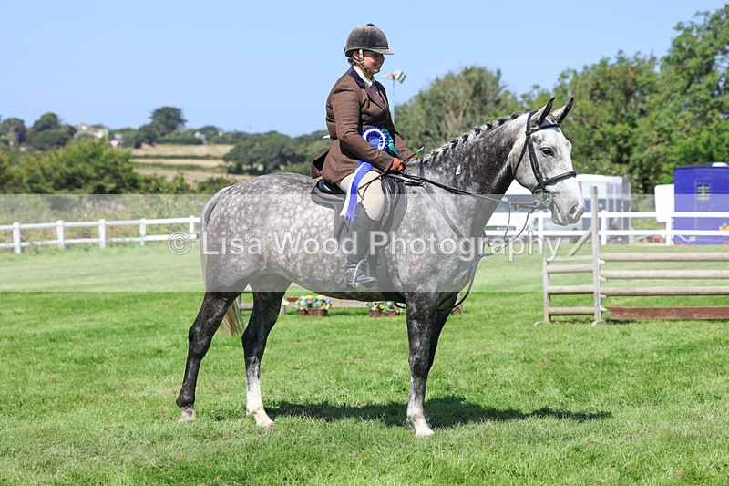 3E7A9323 - Working Hunter Championship