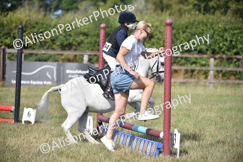 20260906-0964 - Class 7 - Absolute Novice Jumping 35cm