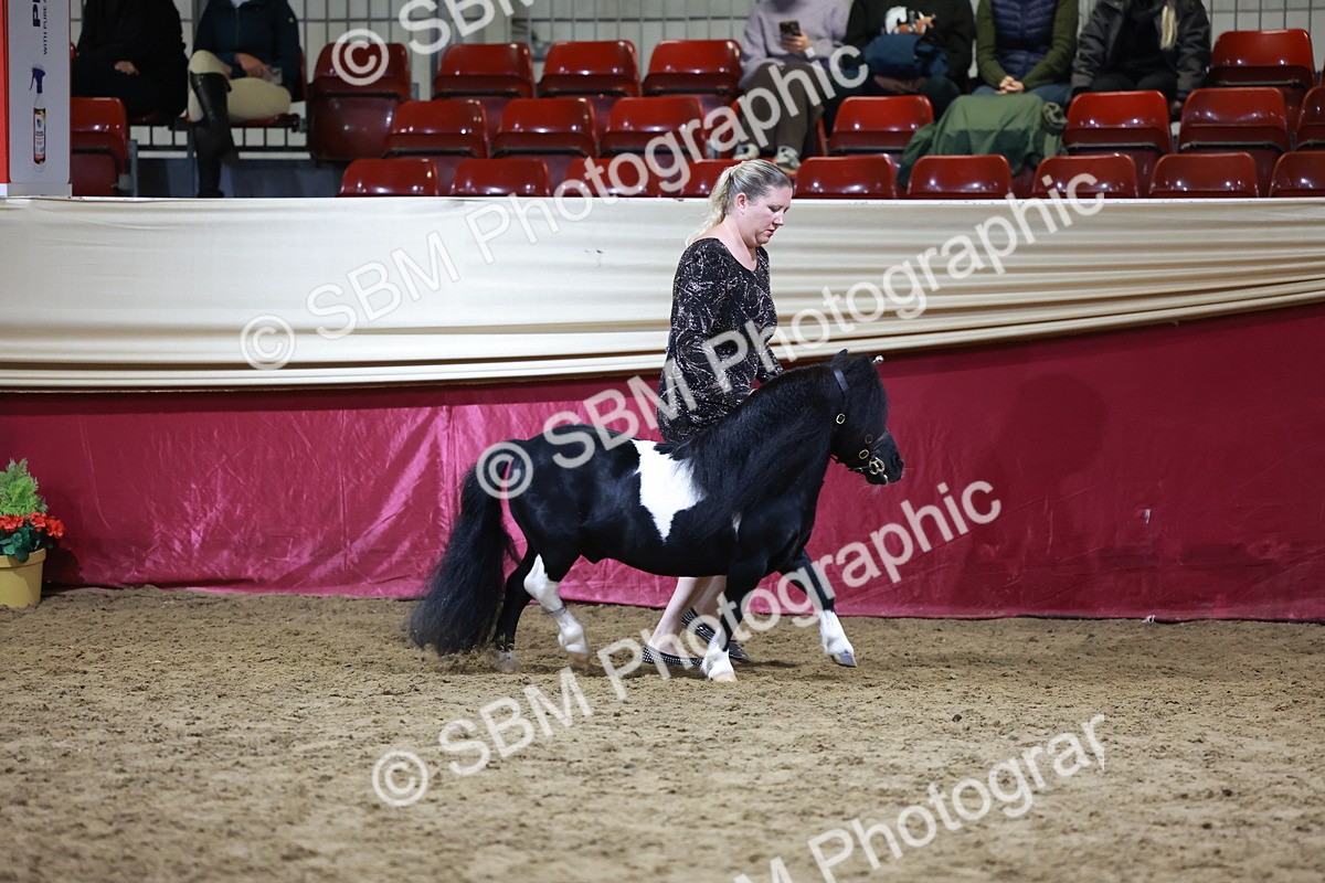 SBM_21518 - Class V - Champion of Champions