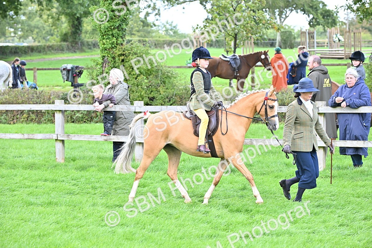SBM_38326 - S19 - Lead Rein Show & Show Hunter Pony