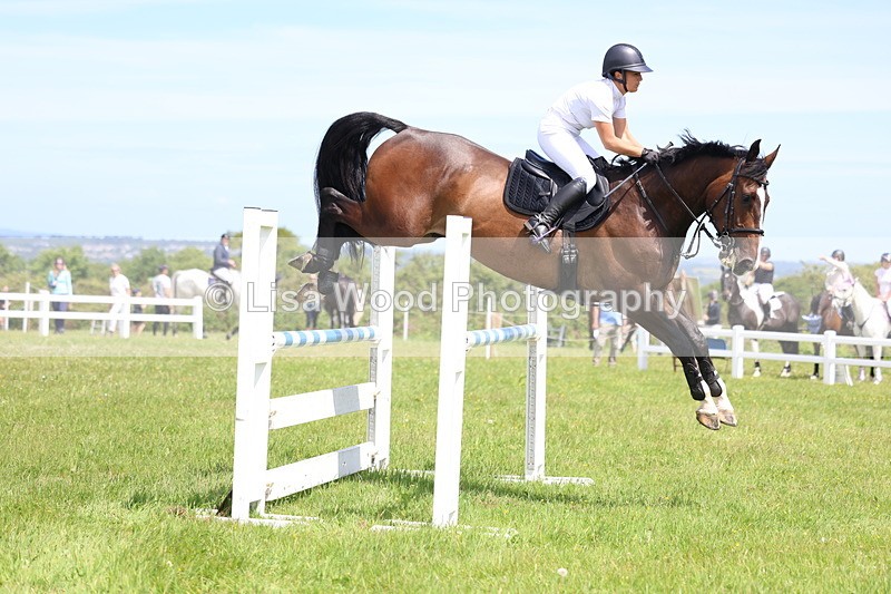 3E7A1298 - Class 12: Senior Foxhunter/1.20 open