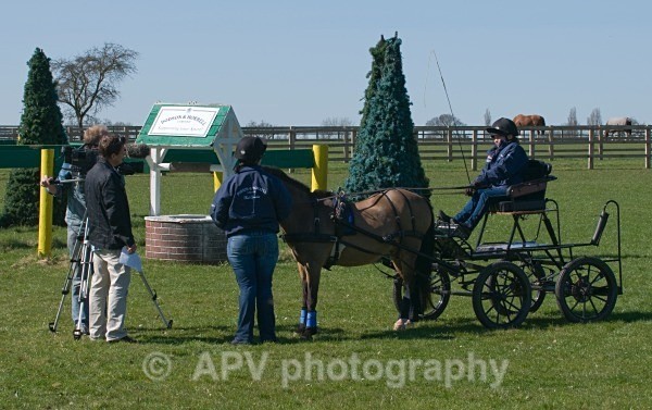 _DSC0128 - Ashfields Carriage & Polo Club