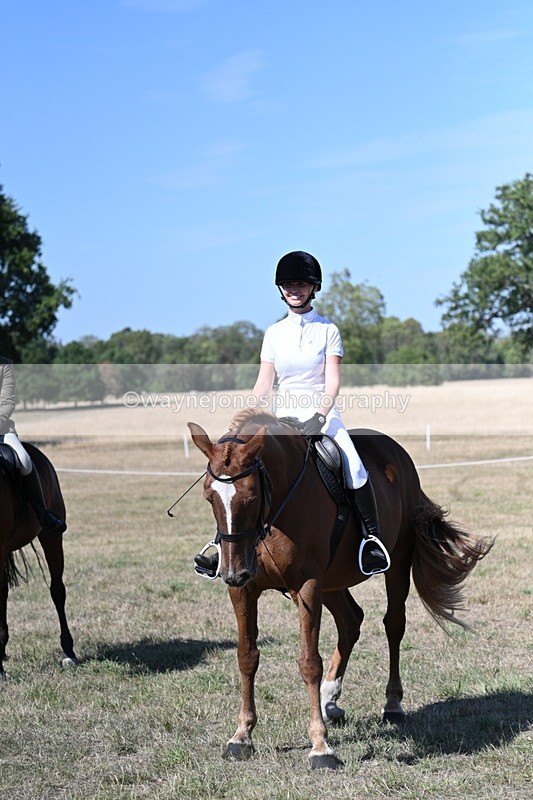 WJ7_1279 - Class 41 Prettiest Mare