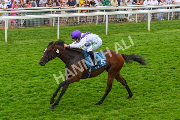 170623-Race 5-Twilight Romance-0788 - Race 5 4.15pm Reg Griffin Appreciation ebfstallions.com Maiden Stakes