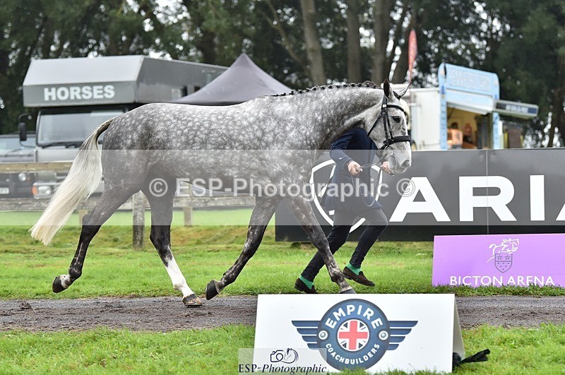 231018-122336-00259 - 032-COOLEY.ROCCO-Ben.Way-TrotUp