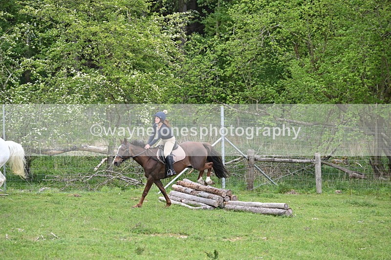 WJ6_3175 - A camera