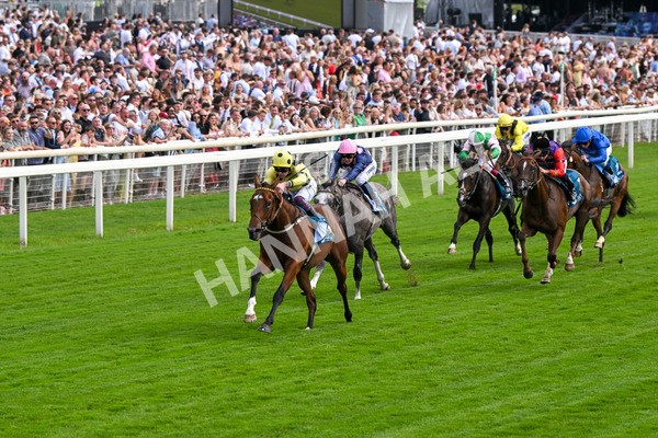 280625-Race 4-Hankelow-0496 - Race 4 3.40pm Al Basti Equiworld Dubai Novice Stakes