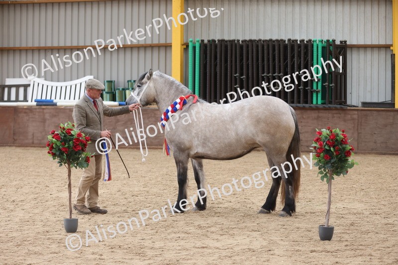 20251109-1237 - Supreme Championship