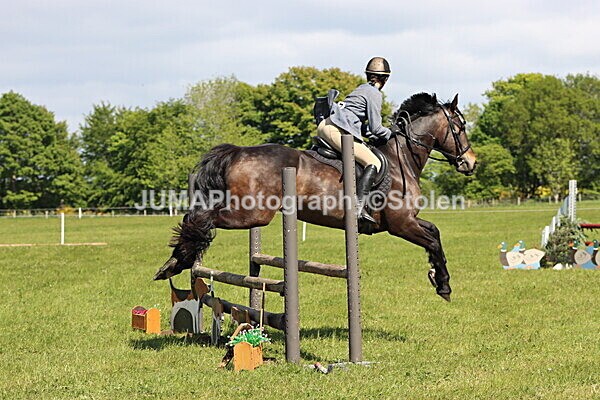 IMG_4529 - Working Hunter