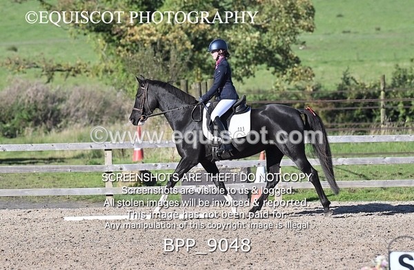 BPP_9048 - SHORT ARENA