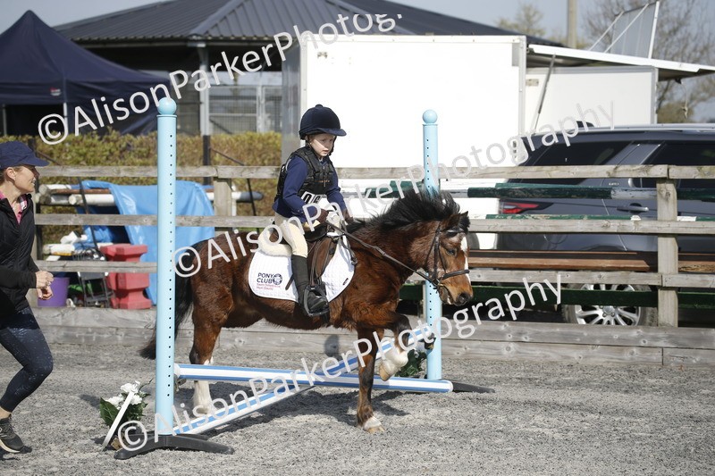 20250412-0217 - Show Jumping