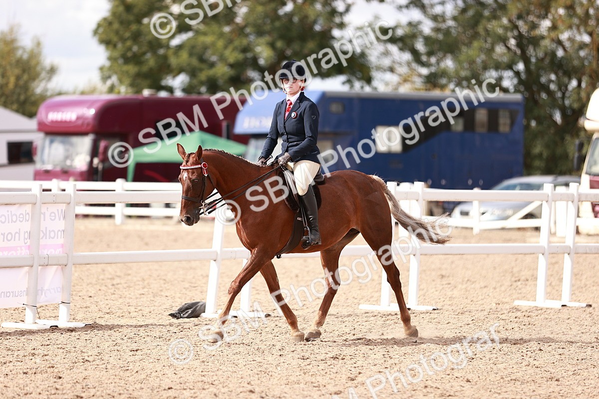 SBM_14275 - Class 408 - Grassroots Ridden -Walk & Trot