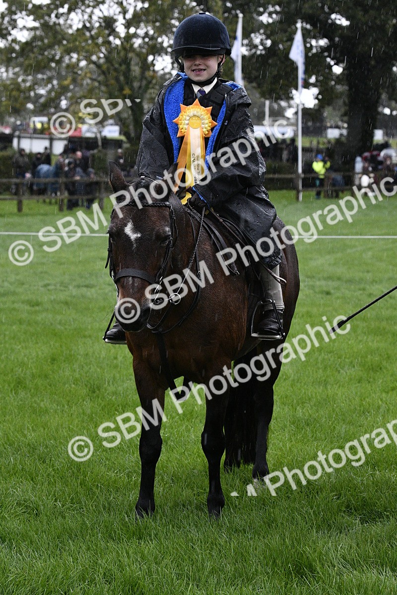 SBM_35585 - S30 - Nursery Stakes Working Hunter Pony