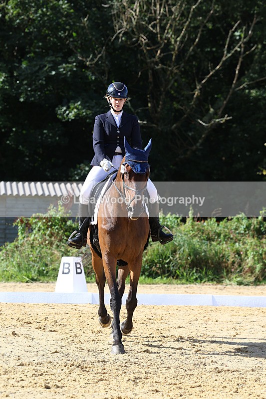 3E7A2546 - Class 1: Intro 4 2024 section A