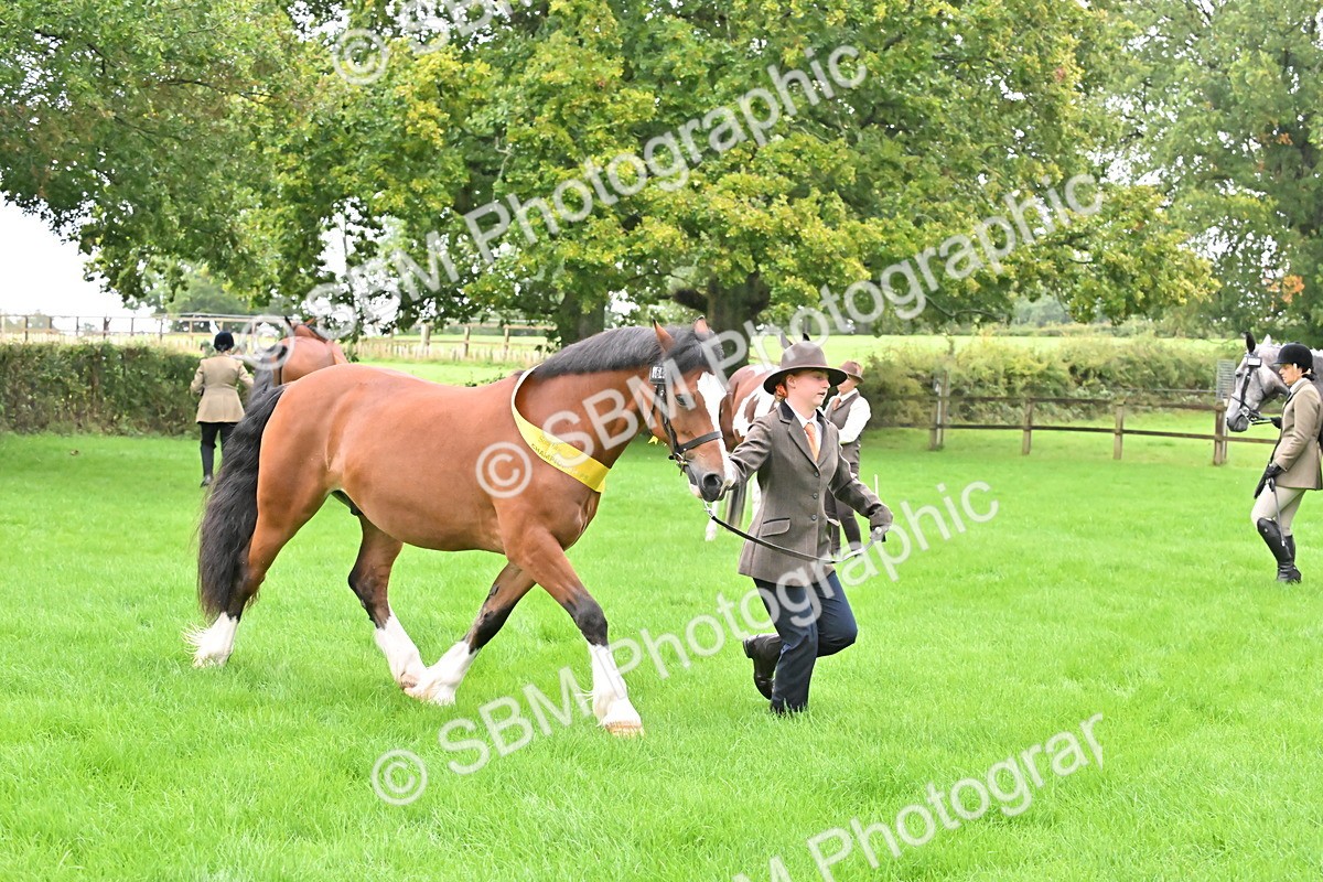 SBM_32668 - S15 - Top Turnout In Hand
