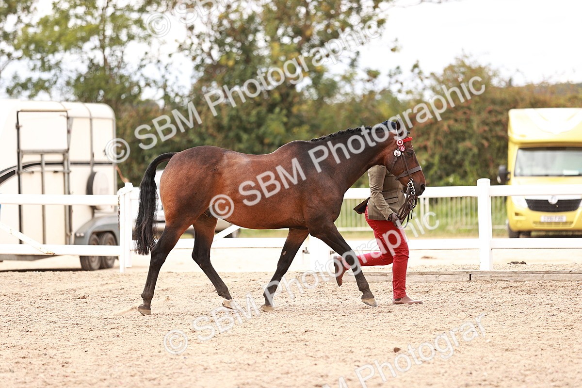 SBM_16268 - Class 413 - Best Condition - Adult