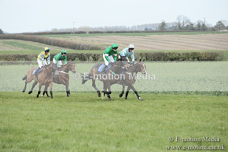 PtP 230319 171 - VWH Hunt Siddington Point-to-Point Racing 23/03/19