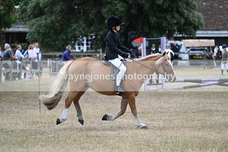 WJ7_7179 - Class 2 Best Rider