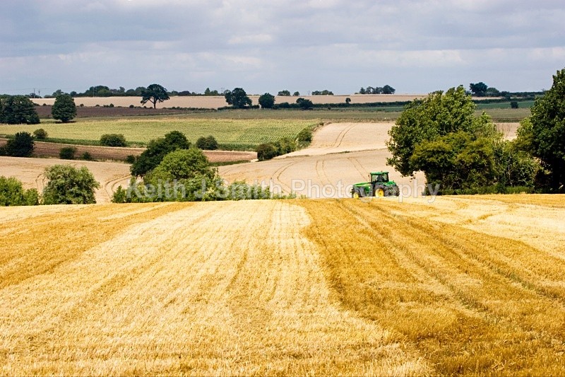 IMG_7846 - United Kindom