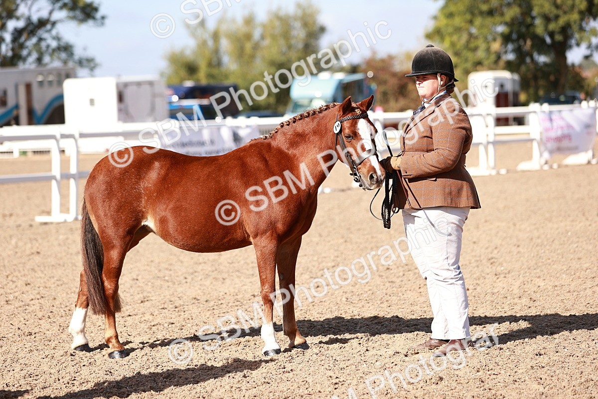 SBM_22707 - Class 704 - IH  Rescue