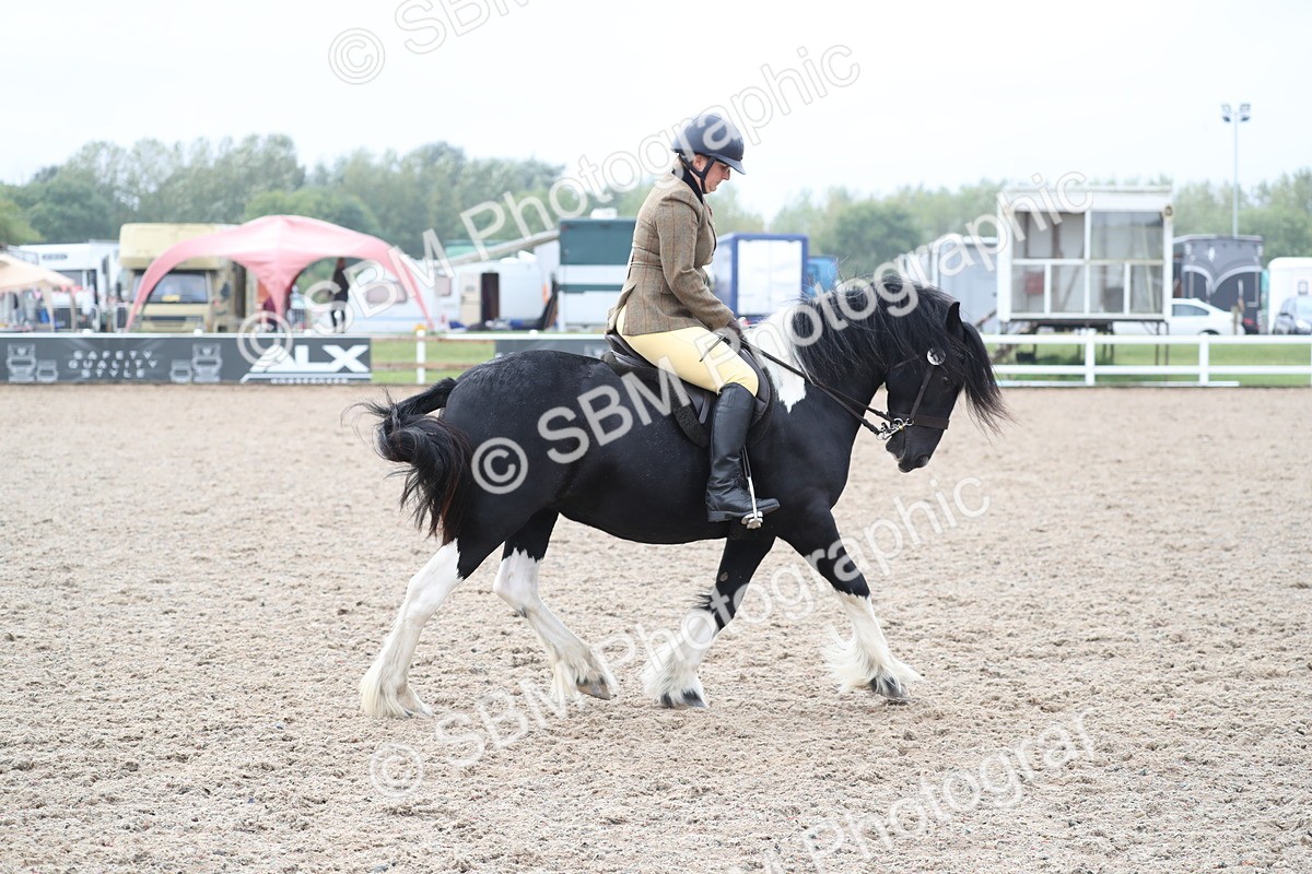 SBM_22024 - Class 603 - 2025 Area Ridden Pre Vet