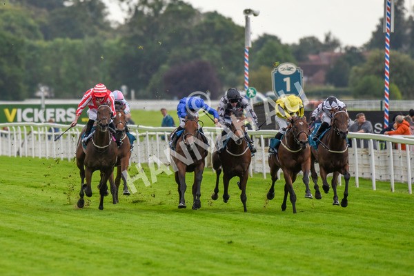 230923-Race 3-Politico-5655 - Race 3 3.10pm Happy 60th Birthday Angela Clark Nursery Handicap