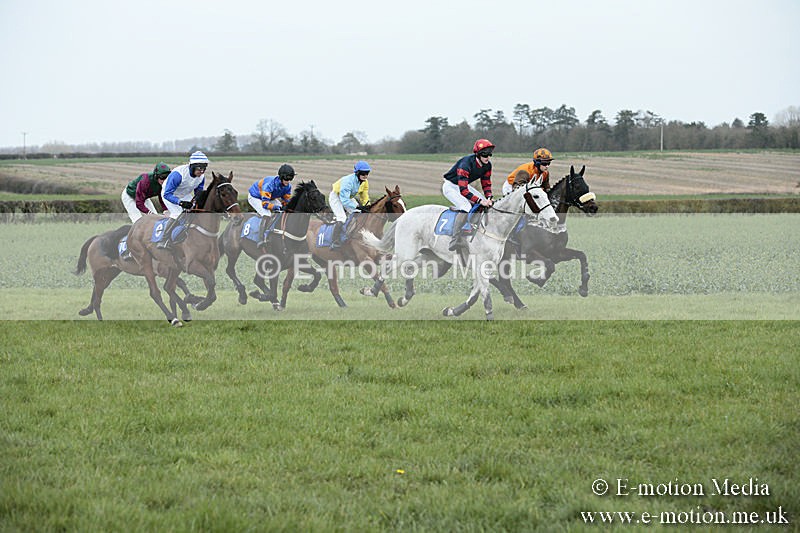 PtP 230319 85 - VWH Hunt Siddington Point-to-Point Racing 23/03/19
