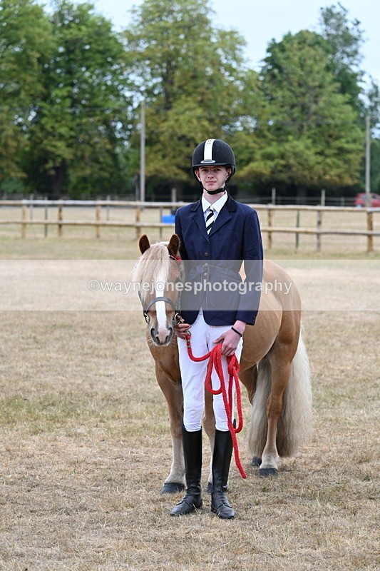 WJ7_0243 - Gelding Champs
