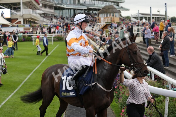 yr24092021r3-7 - Race 3 2.40pm WilliamHill.com Best Odds Guaranteed Stakes