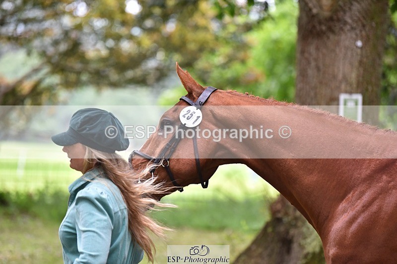 240522-171016-01435 - 251-MILESTONE_GOLD-Gaby_Bull