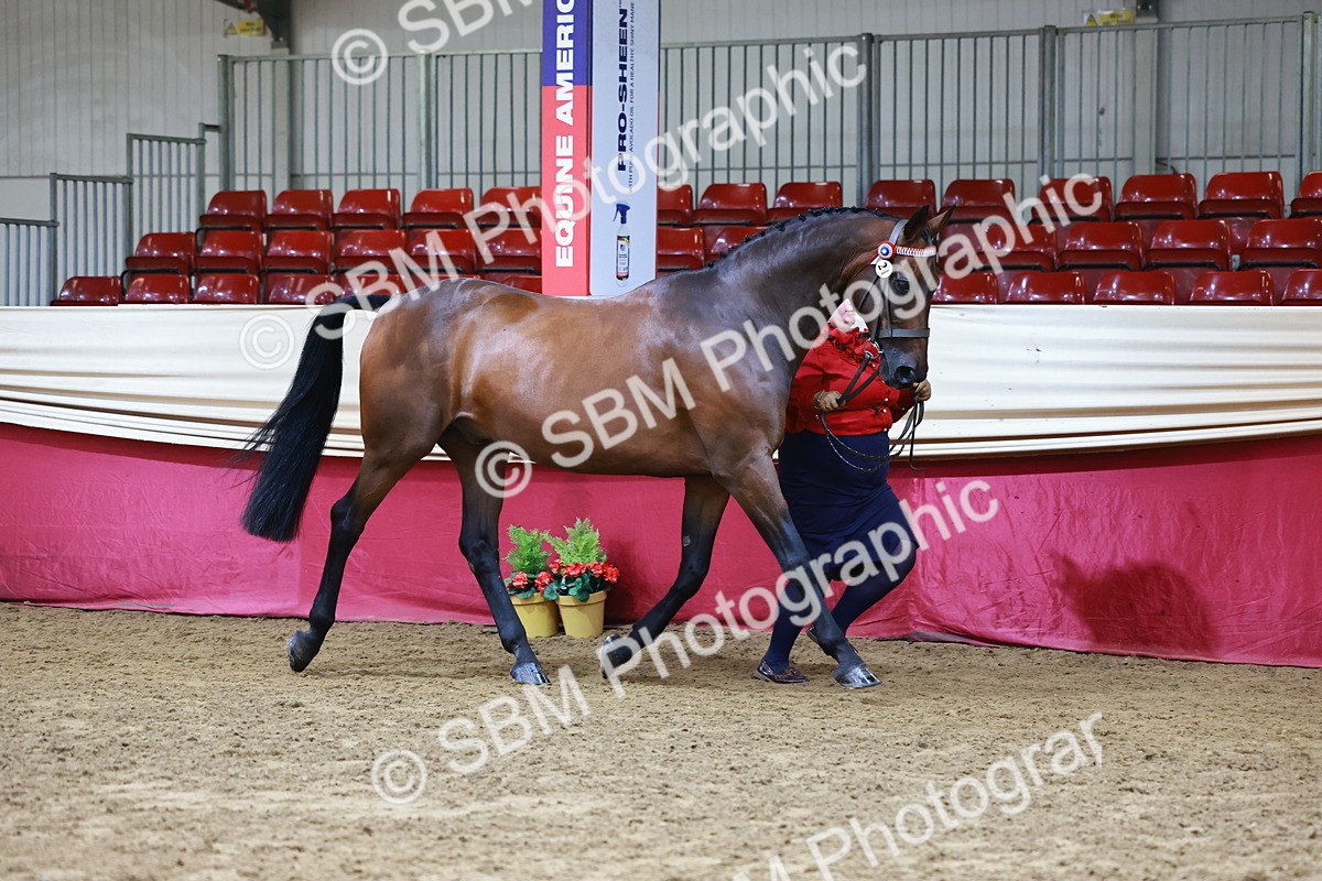 SBM_22251 - Class 902 - Supreme Final - IH Diamond