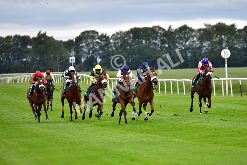 170625-Race 1-Royal Fixation-3451 - Race 1