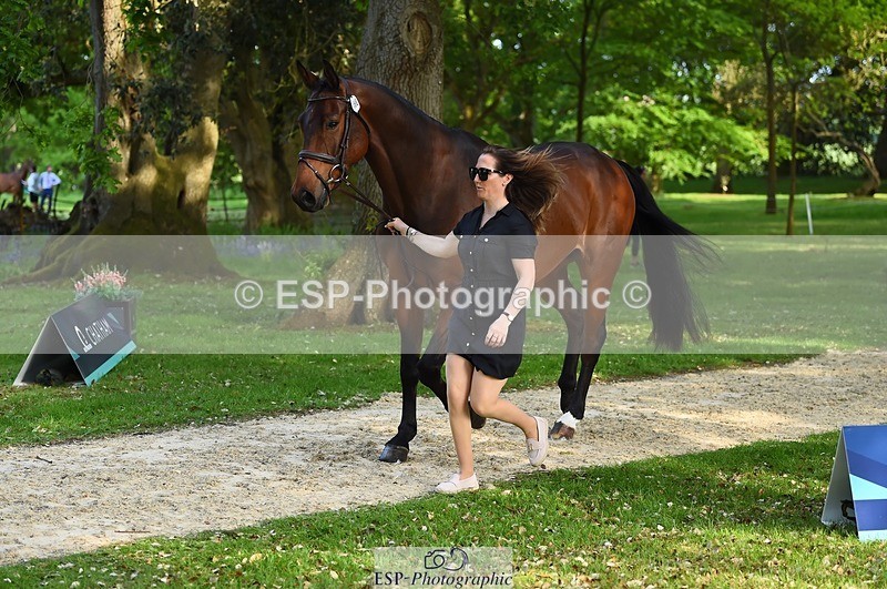 230524-171744-01411 - 168-PARKFIELD_ARTIE_BLOU-Laura_Collett-WEDTrotUp+DR